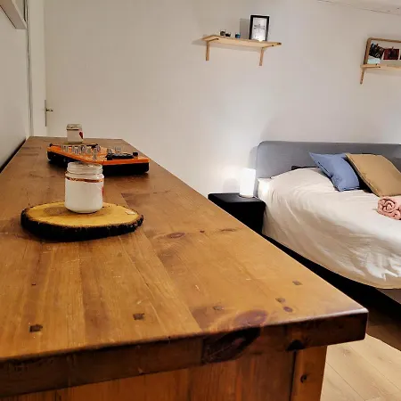 Le Cocon Proche Du D'annecy Apartment Sevrier