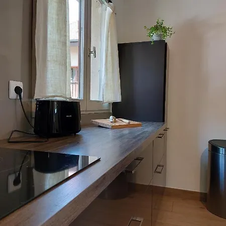Le Cocon Proche Du D'annecy Apartment Sevrier